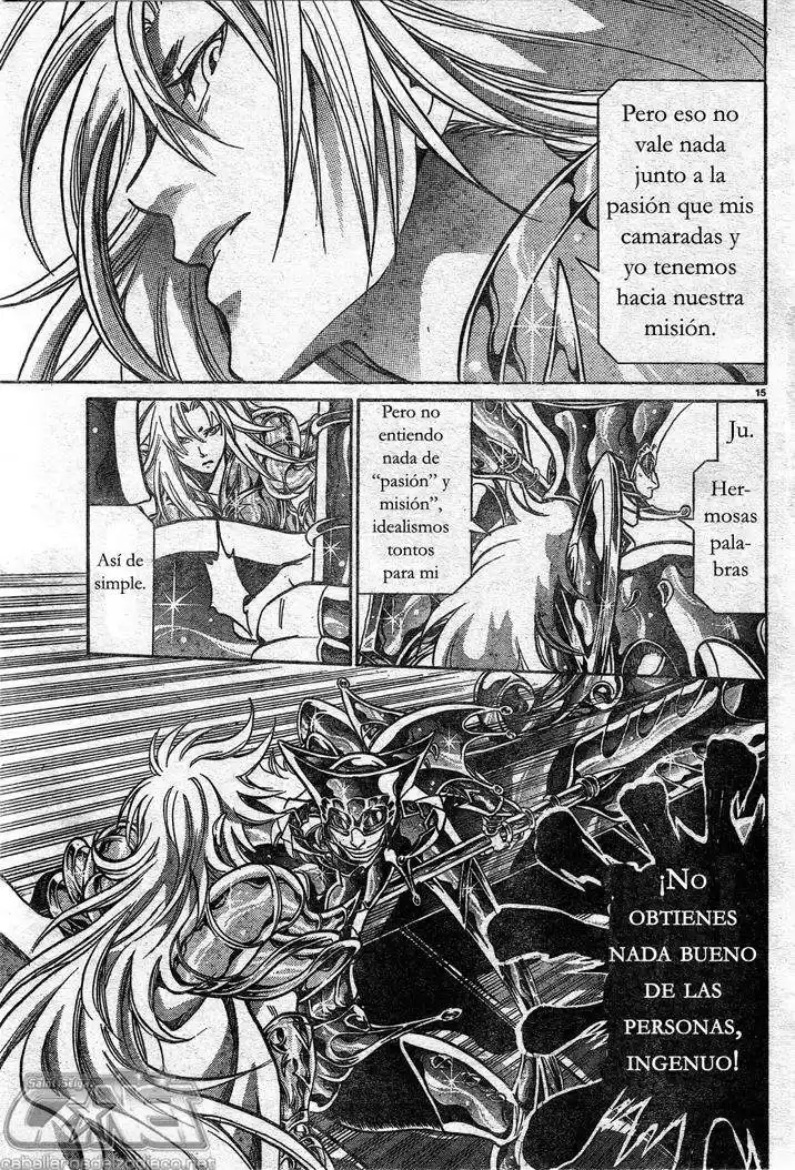 Saint Seiya The Lost Canvas Capitulo 144 página 14