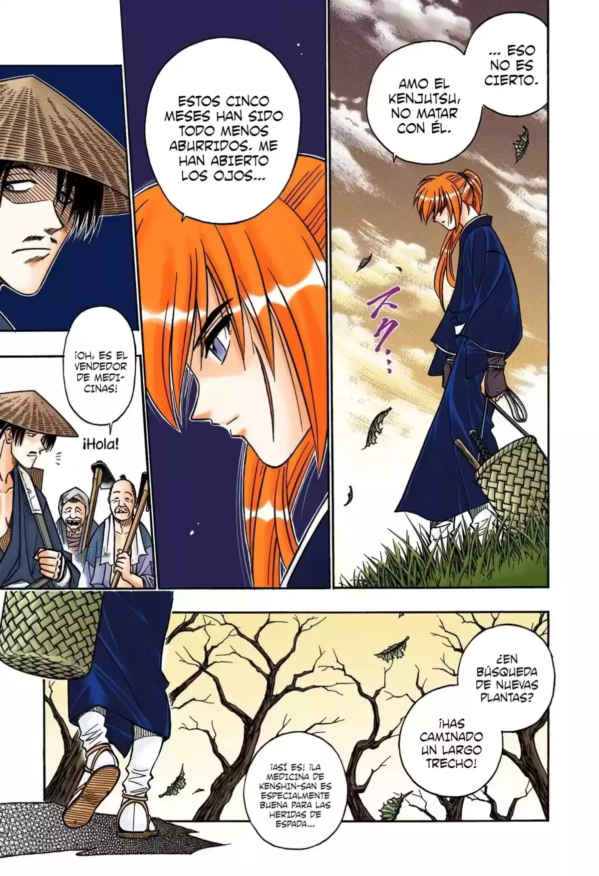 Rurouni Kenshin Full Color Capitulo 172: Remembranzas 7 — En el campo página 6