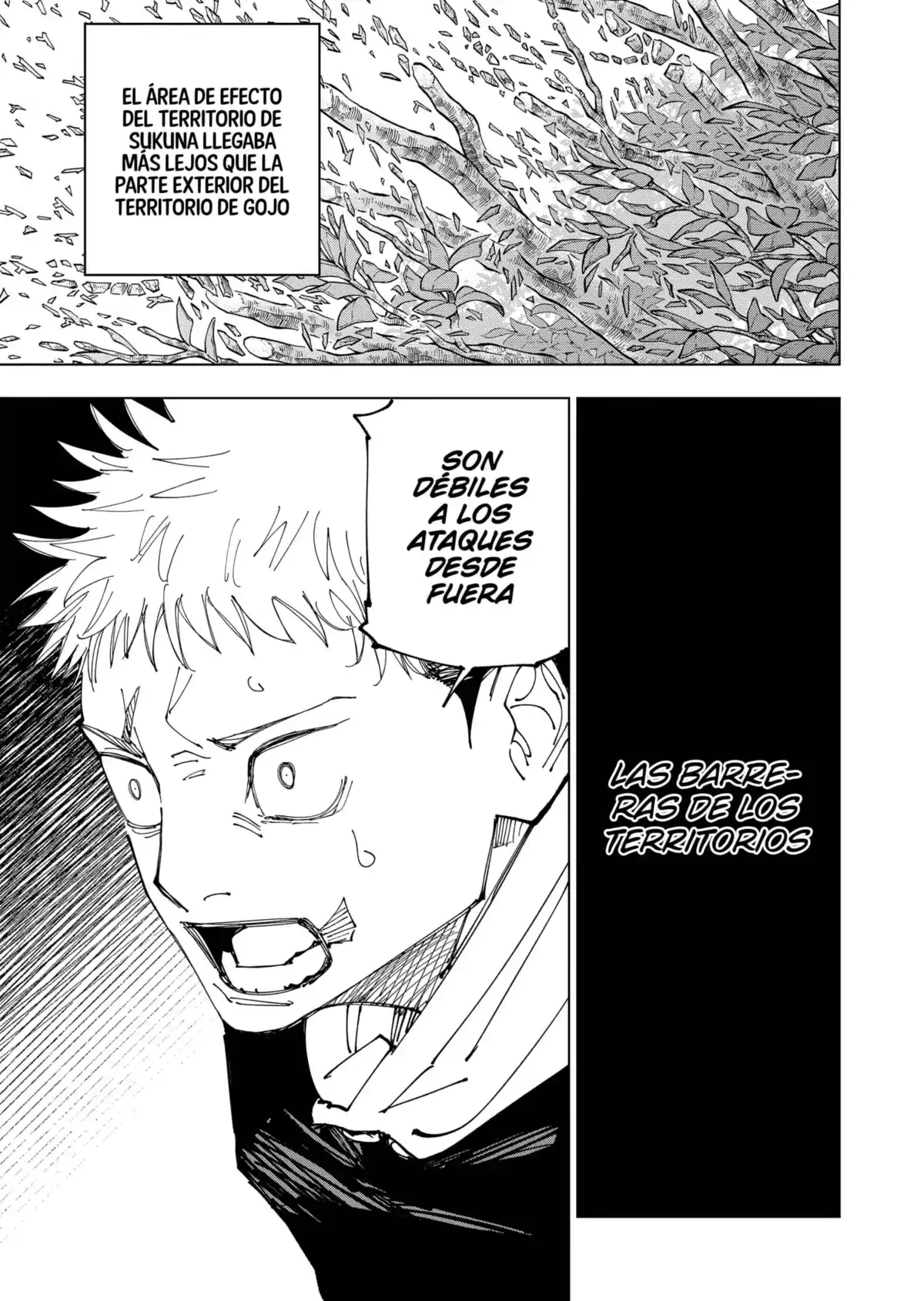 Jujutsu kaisen Capitulo 225: La batalla decisiva en el área deshabitada de Shinjuku, Parte 3 página 17