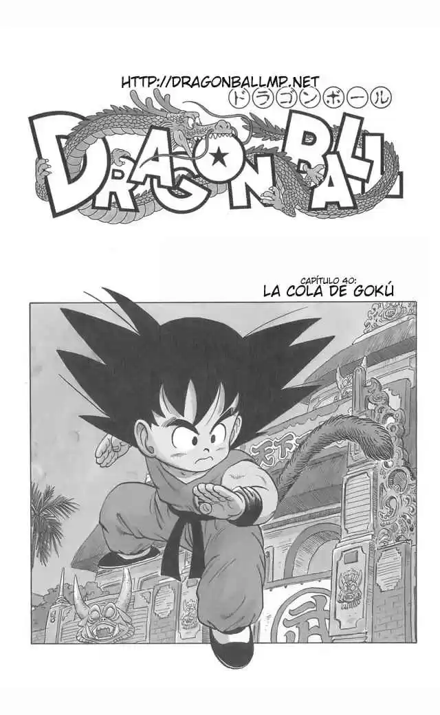 Dragon Ball Capitulo 40 página 2