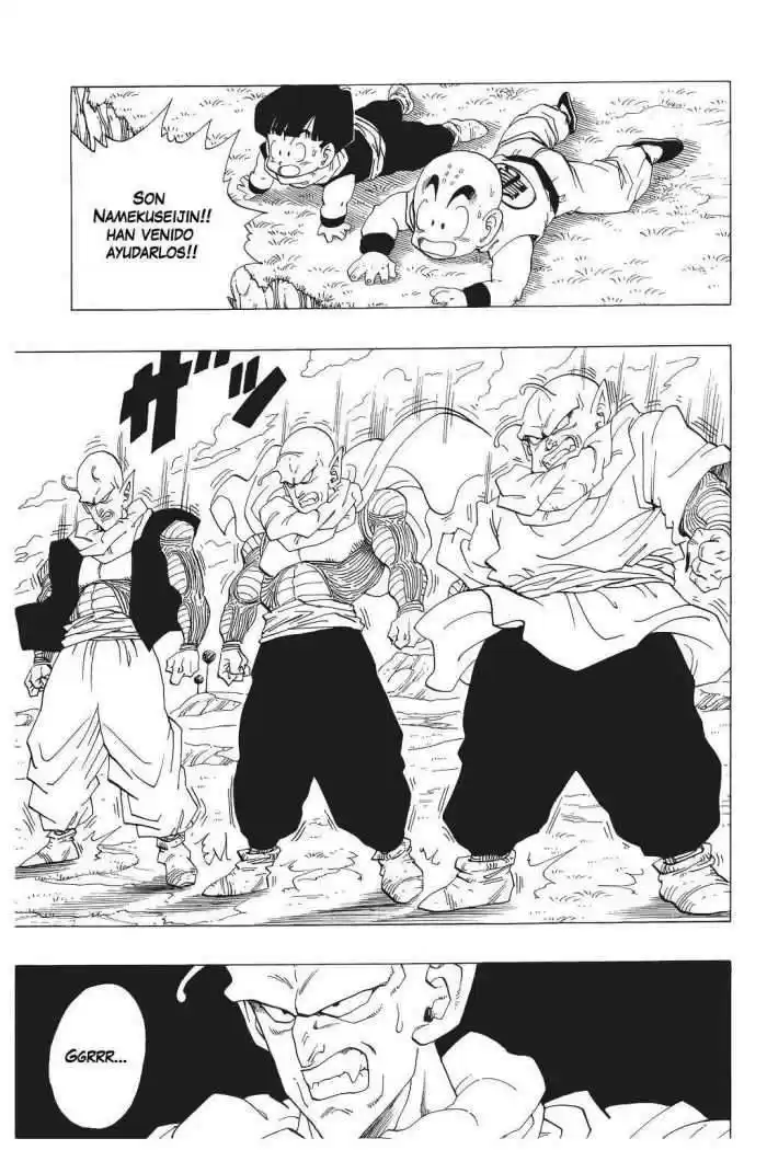 Dragon Ball Capitulo 253 página 2