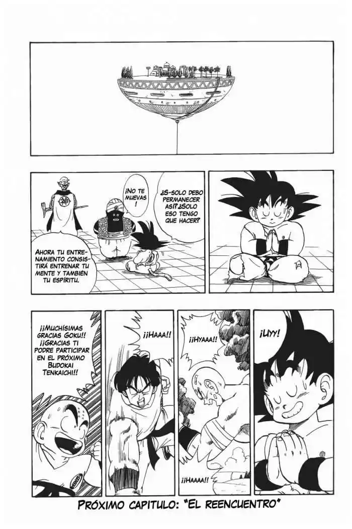 Dragon Ball Capitulo 165 página 15