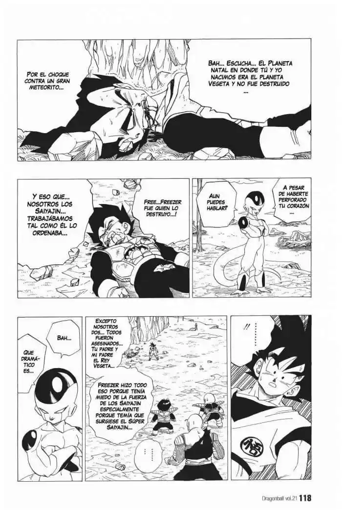 Dragon Ball Capitulo 308 página 3