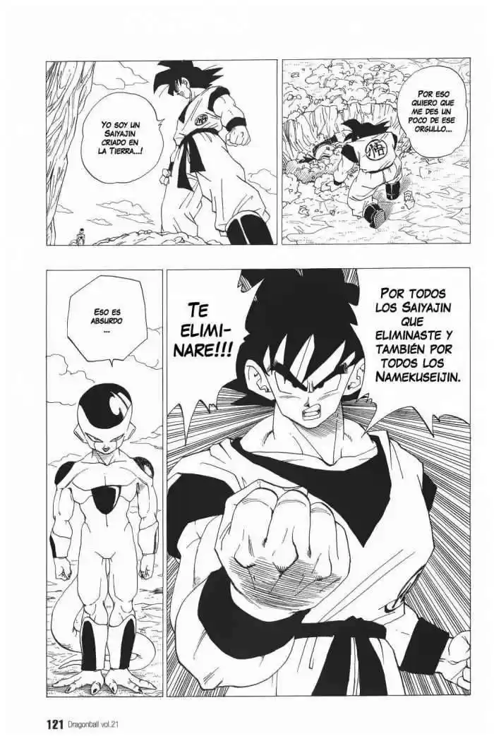 Dragon Ball Capitulo 308 página 6