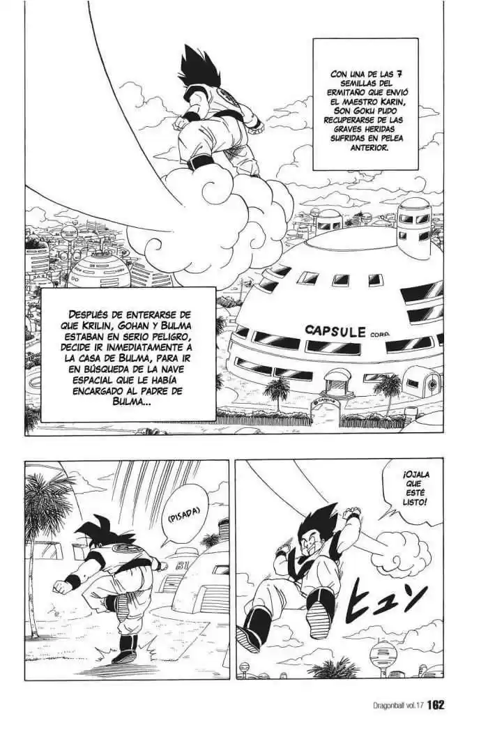 Dragon Ball Capitulo 251 página 1