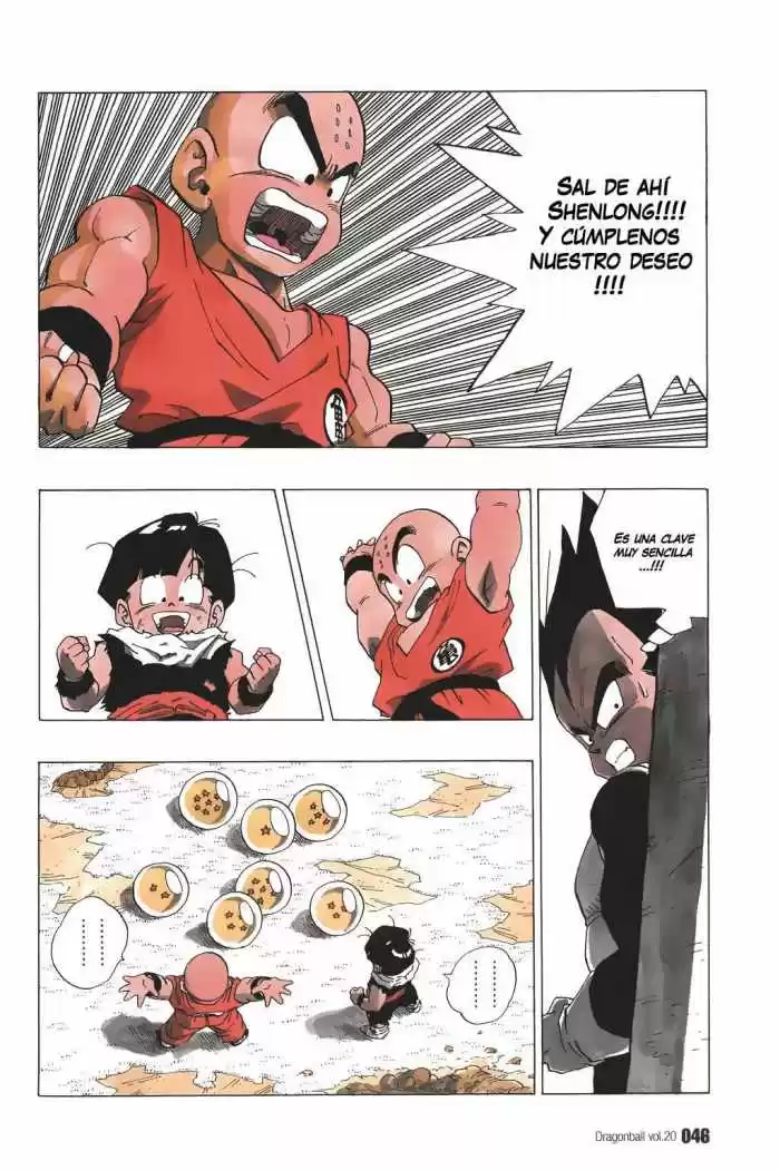 Dragon Ball Capitulo 287 página 13