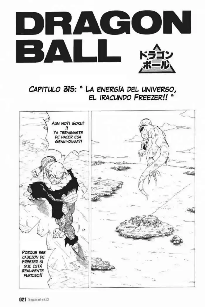 Dragon Ball Capitulo 316 página 2