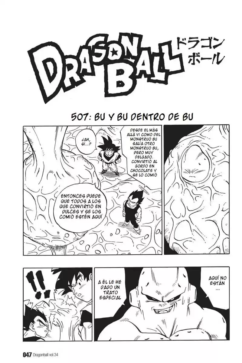 Dragon Ball Capitulo 507 página 1