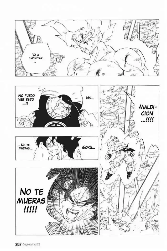 Dragon Ball Capitulo 328 página 8