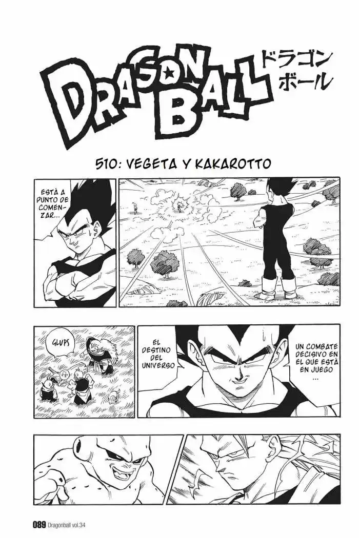 Dragon Ball Capitulo 510 página 1