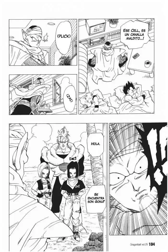 Dragon Ball Capitulo 366 página 12