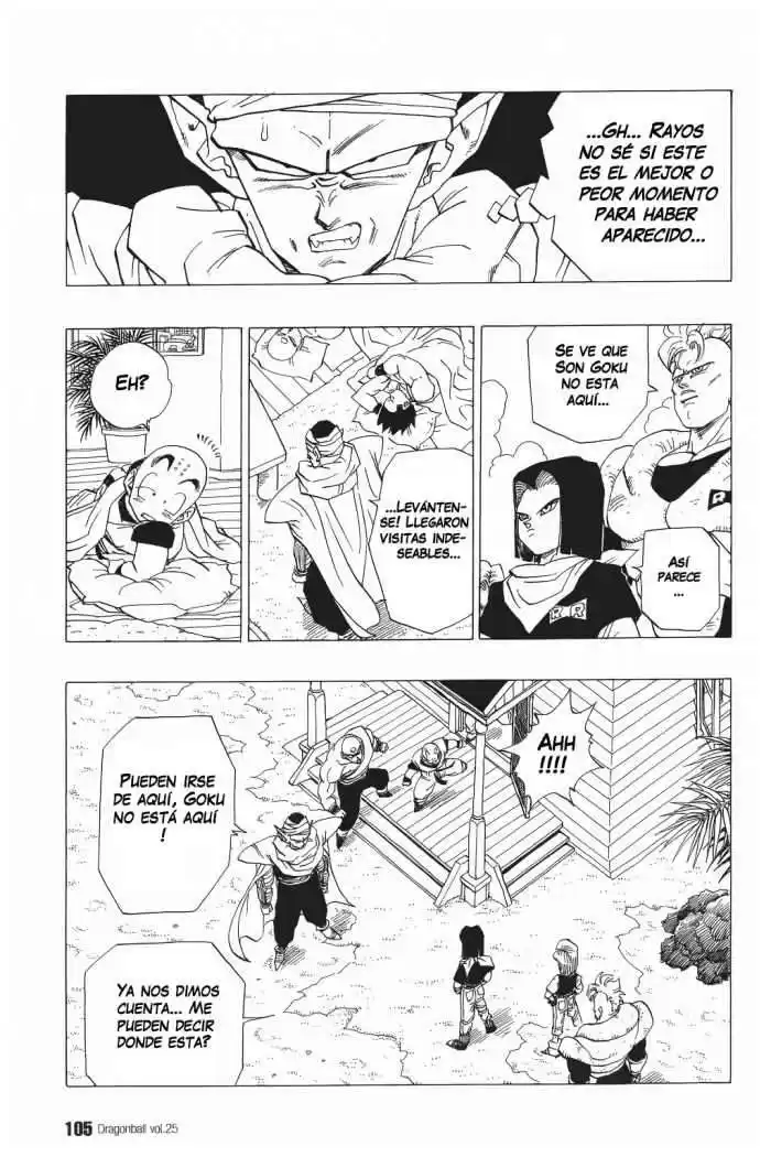 Dragon Ball Capitulo 366 página 13