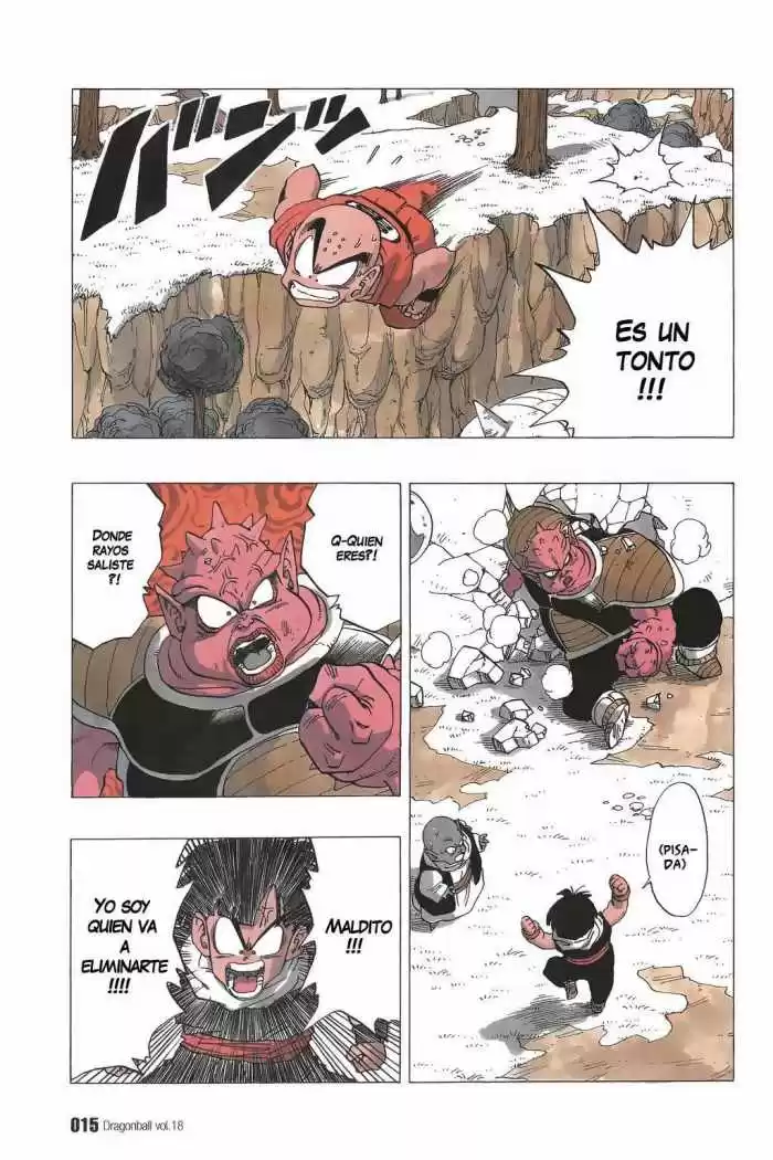 Dragon Ball Capitulo 255 página 12