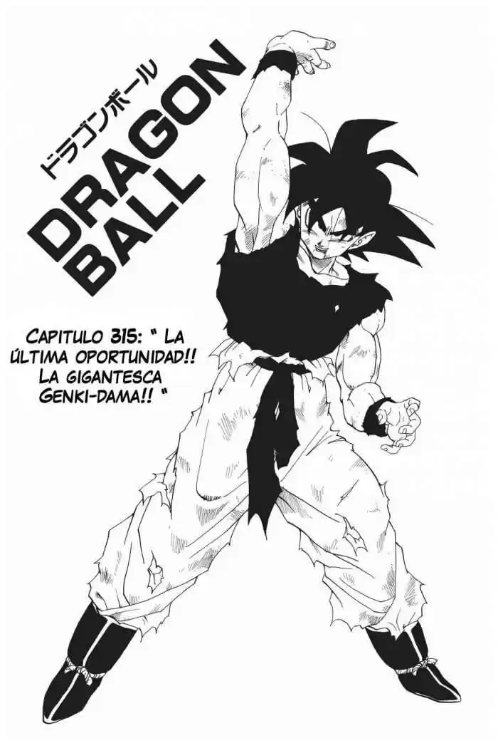 Dragon Ball Capitulo 315 página 2