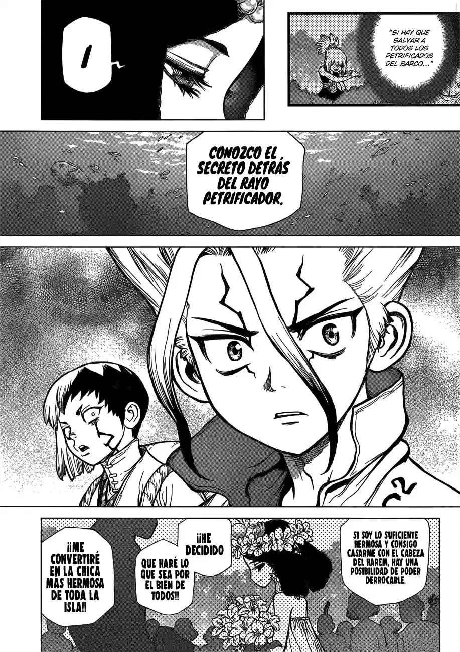 Dr. Stone Capitulo 105 página 15