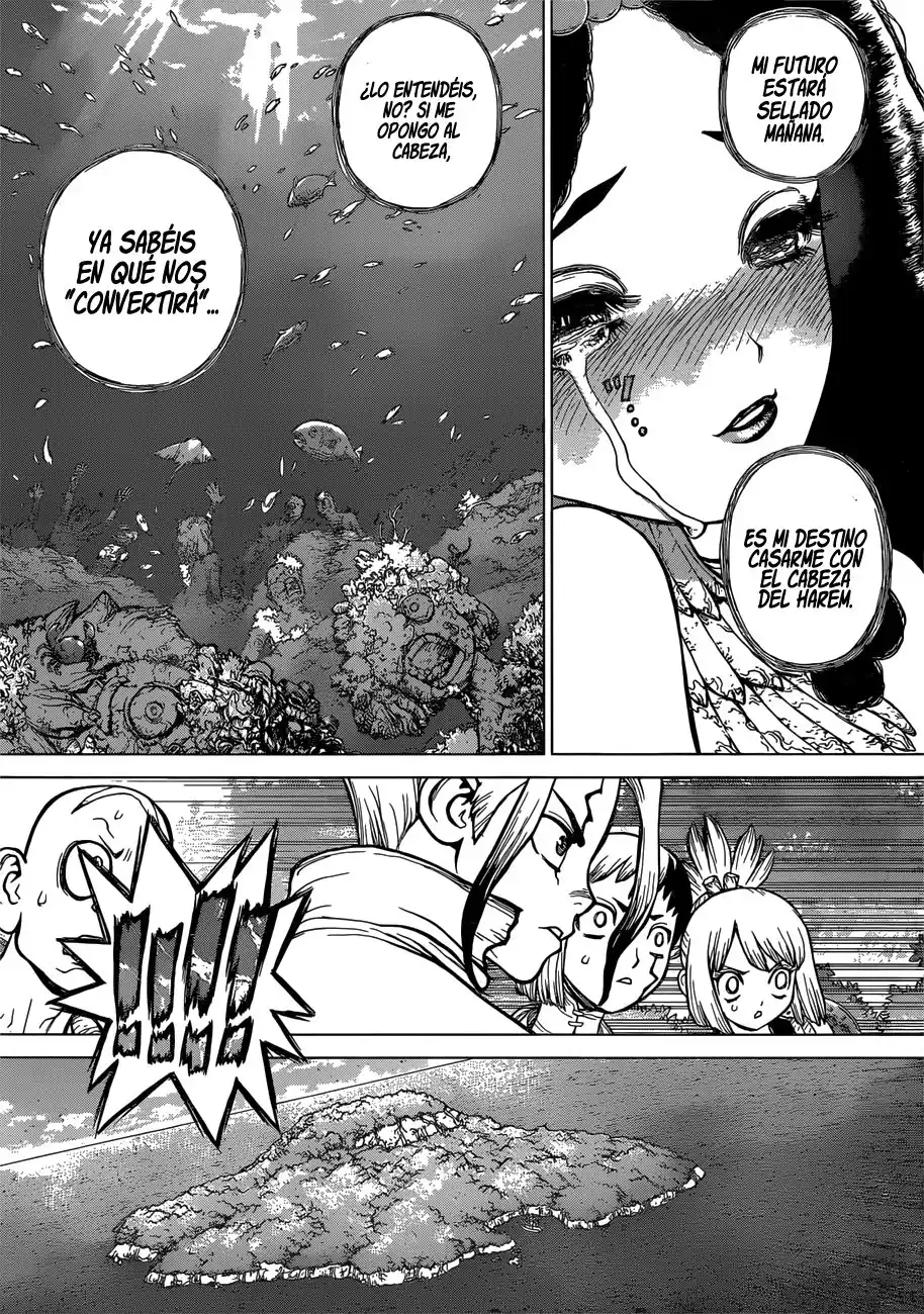 Dr. Stone Capitulo 105 página 5