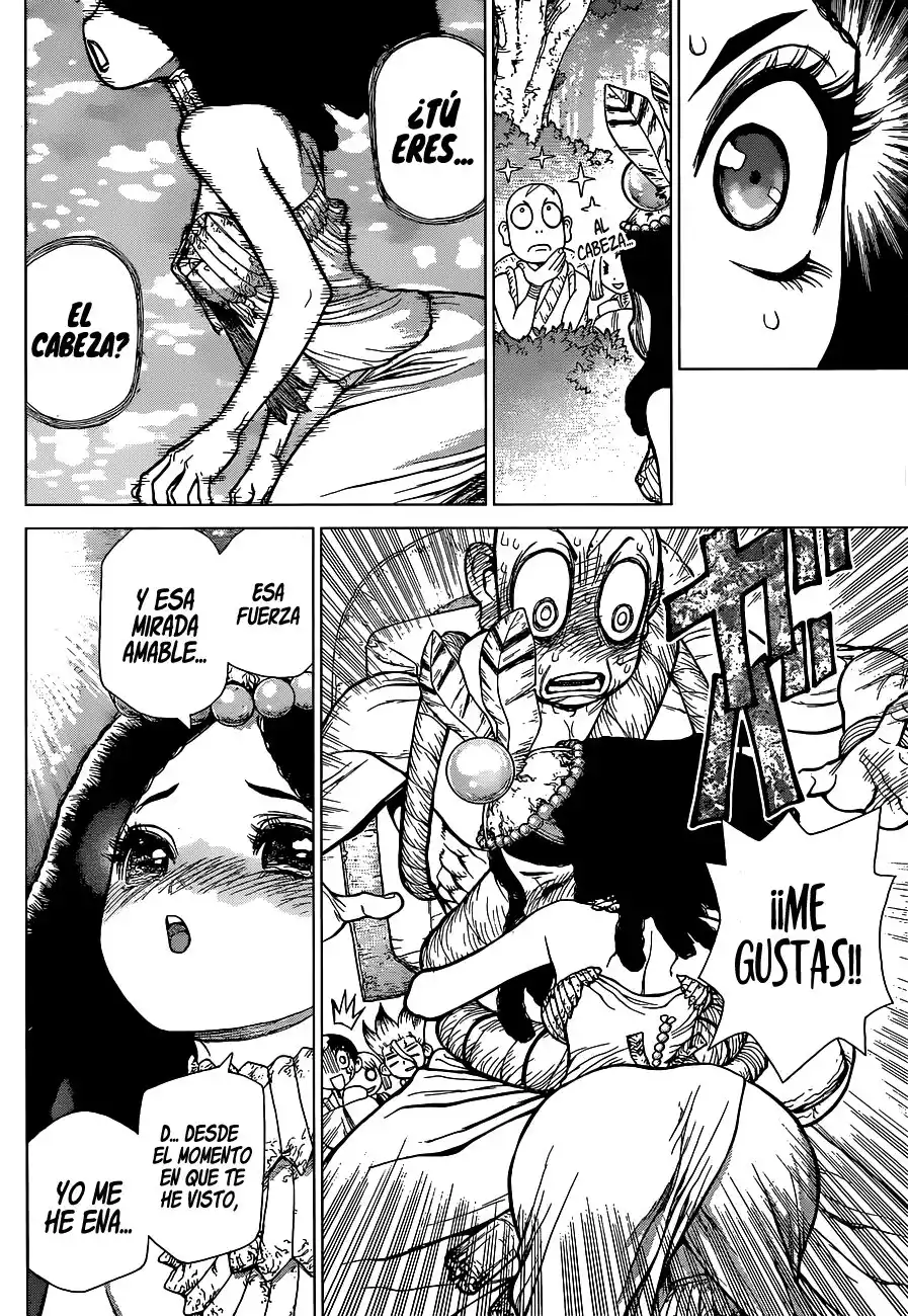 Dr. Stone Capitulo 105 página 8