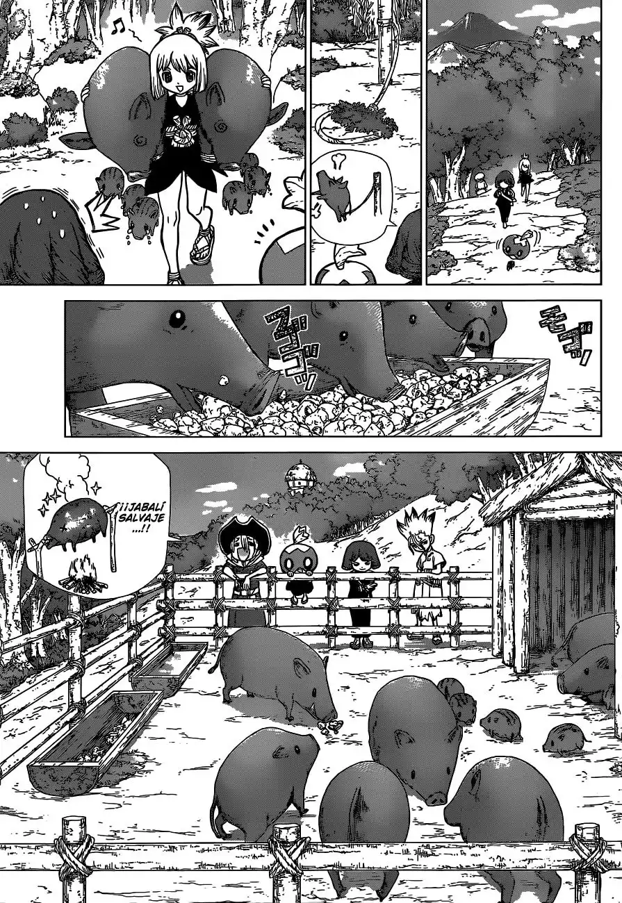 Dr. Stone Capitulo 94 página 8