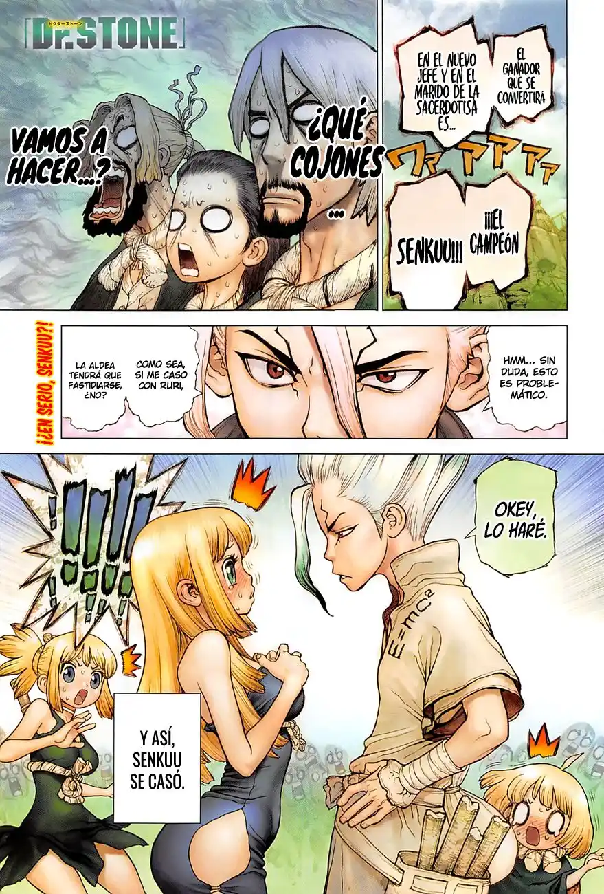 Dr. Stone Capitulo 40 página 1