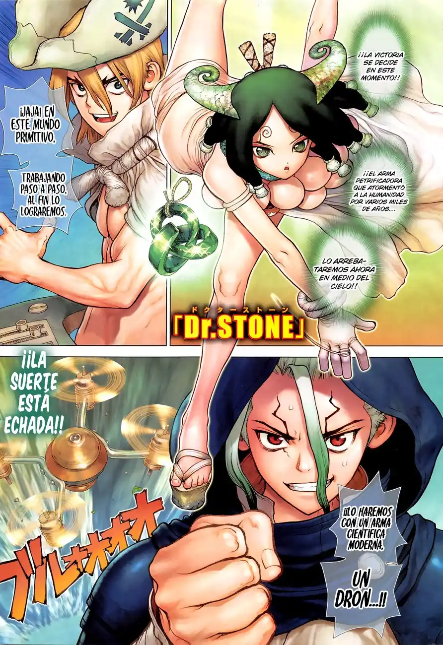 Dr. Stone Capitulo 127 página 4