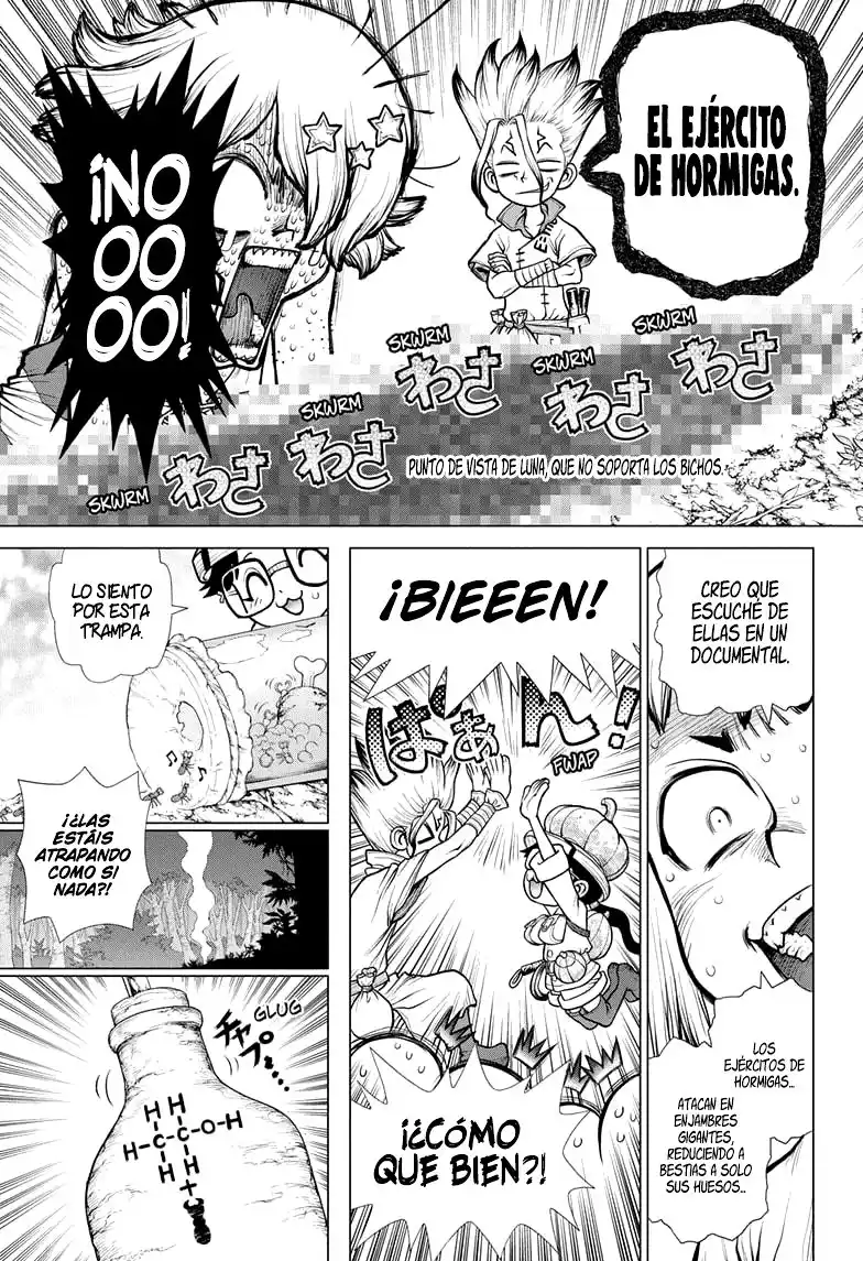 Dr. Stone Capitulo 180 página 10