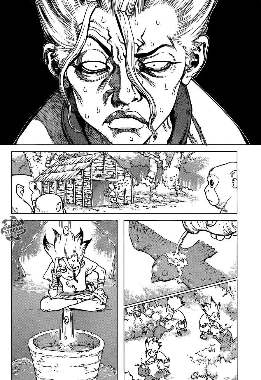 Dr. Stone Capitulo 14: En lo que crees página 11