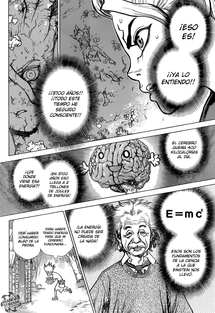 Dr. Stone Capitulo 14: En lo que crees página 13