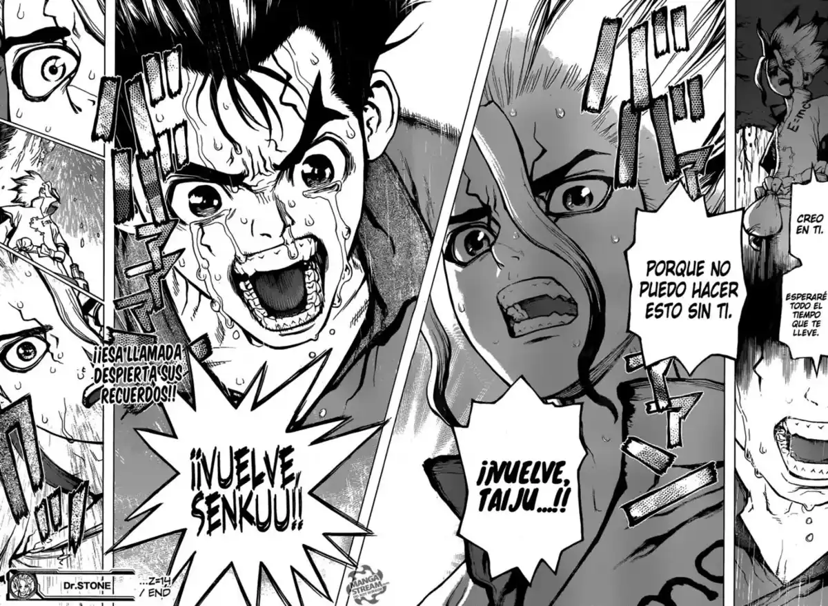 Dr. Stone Capitulo 14: En lo que crees página 17