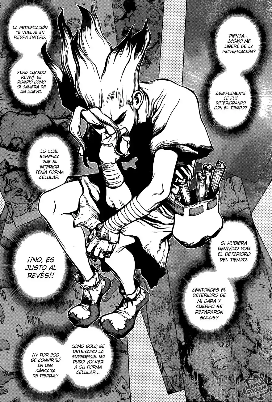 Dr. Stone Capitulo 14: En lo que crees página 7