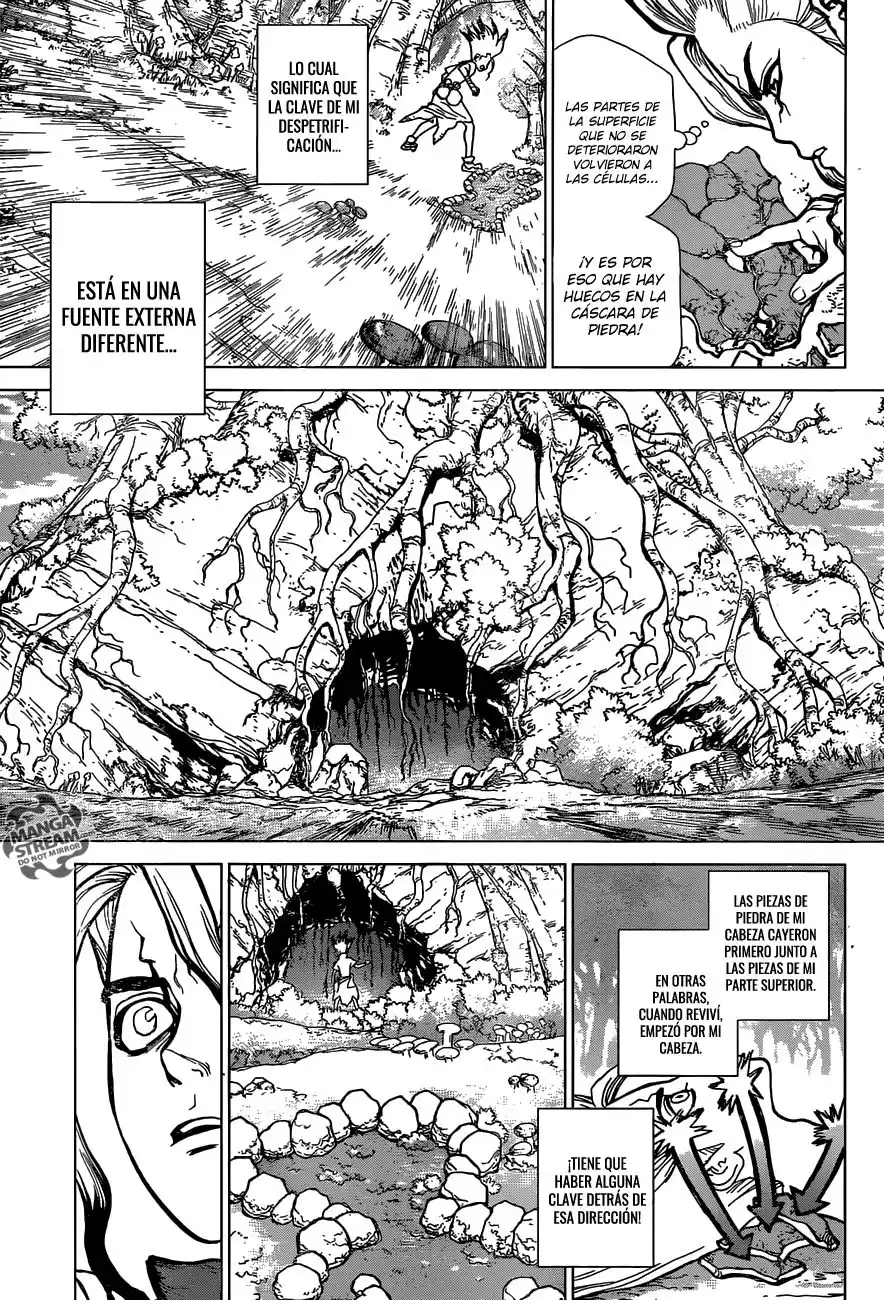 Dr. Stone Capitulo 14: En lo que crees página 8