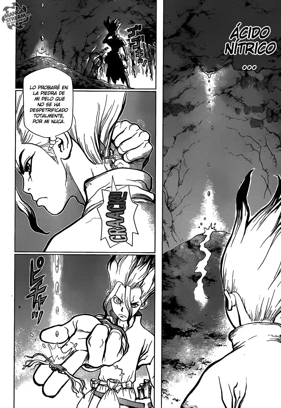 Dr. Stone Capitulo 14: En lo que crees página 9