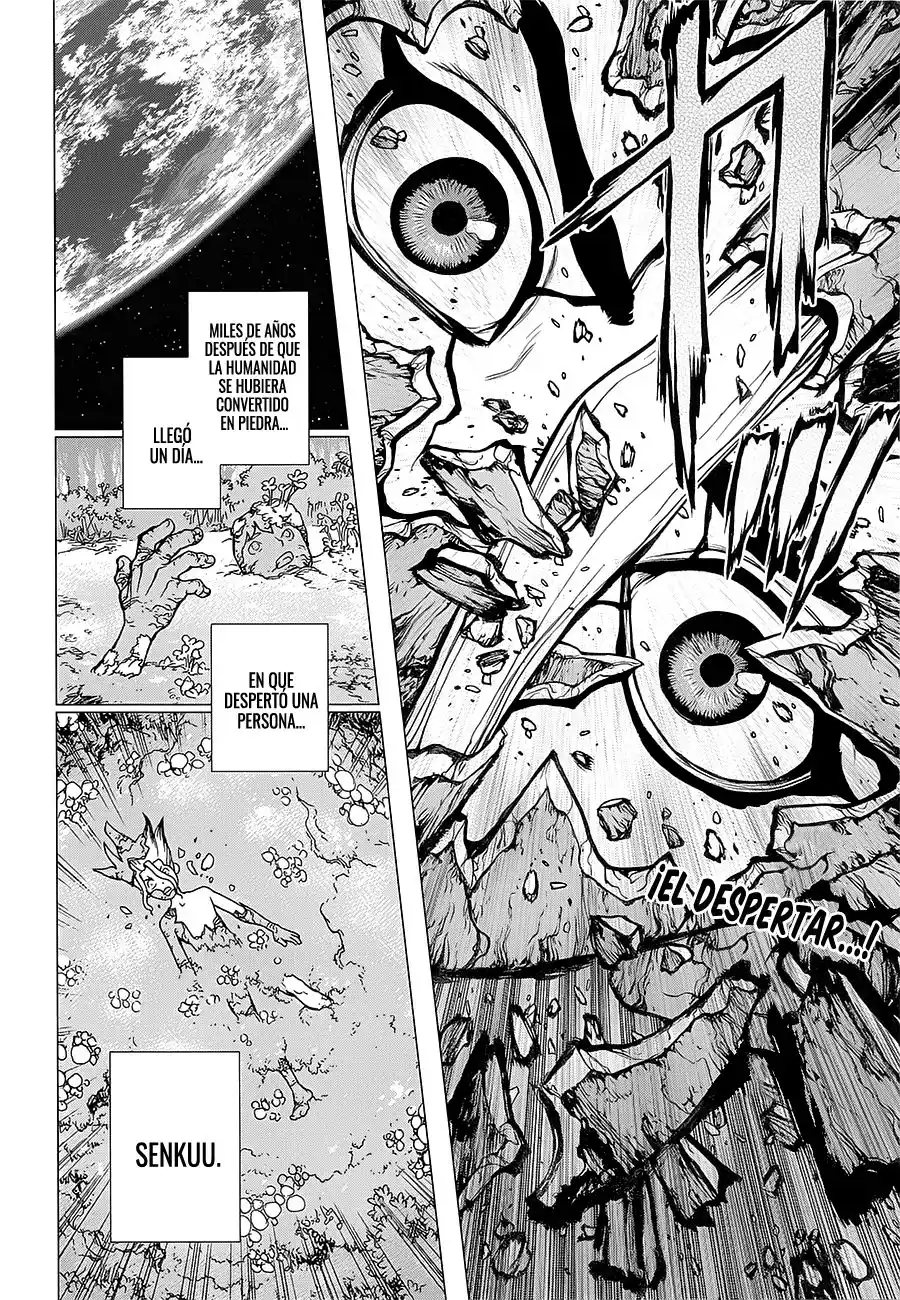 Dr. Stone Capitulo 13: El comienzo del mundo de piedra página 2