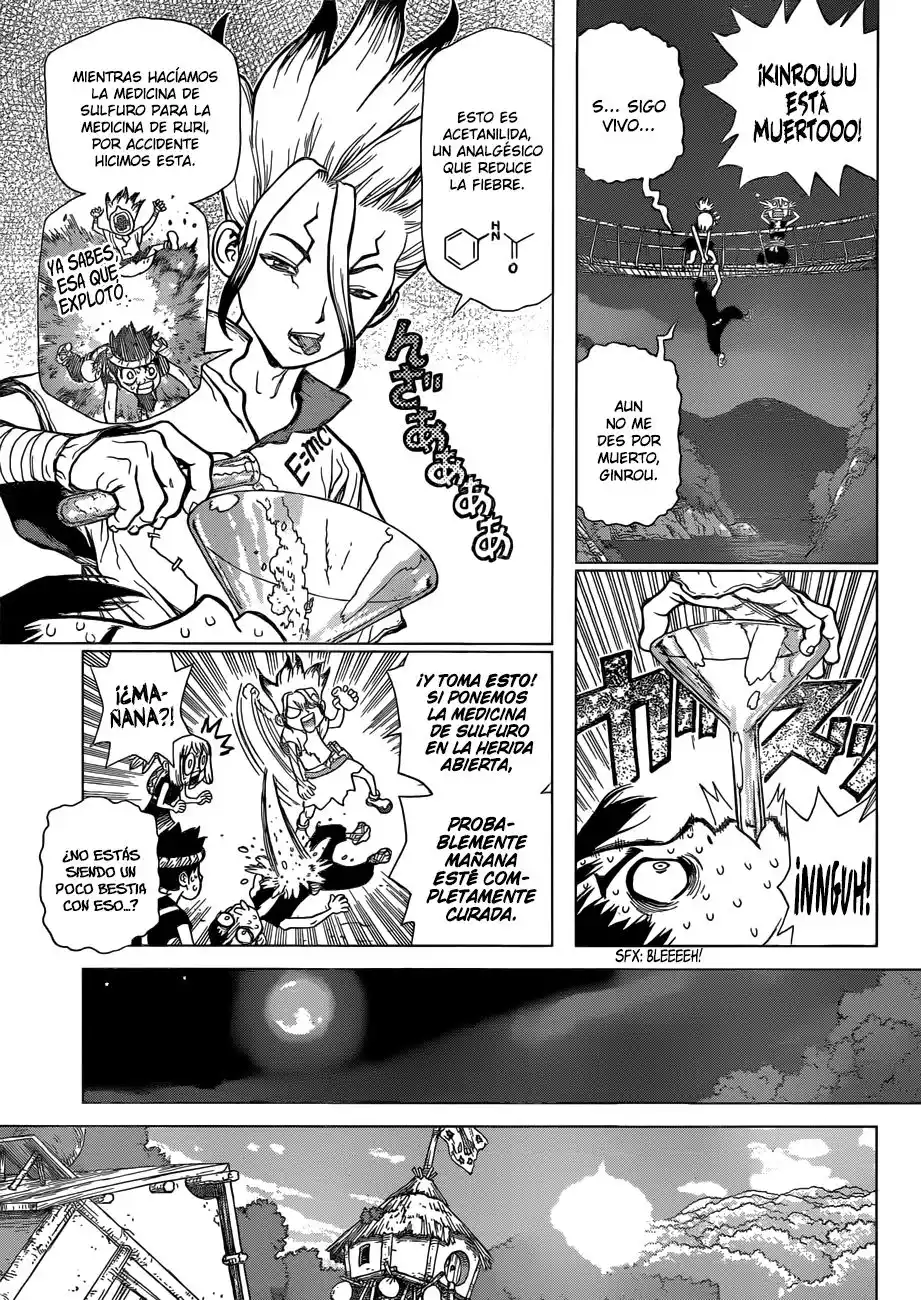 Dr. Stone Capitulo 47 página 3