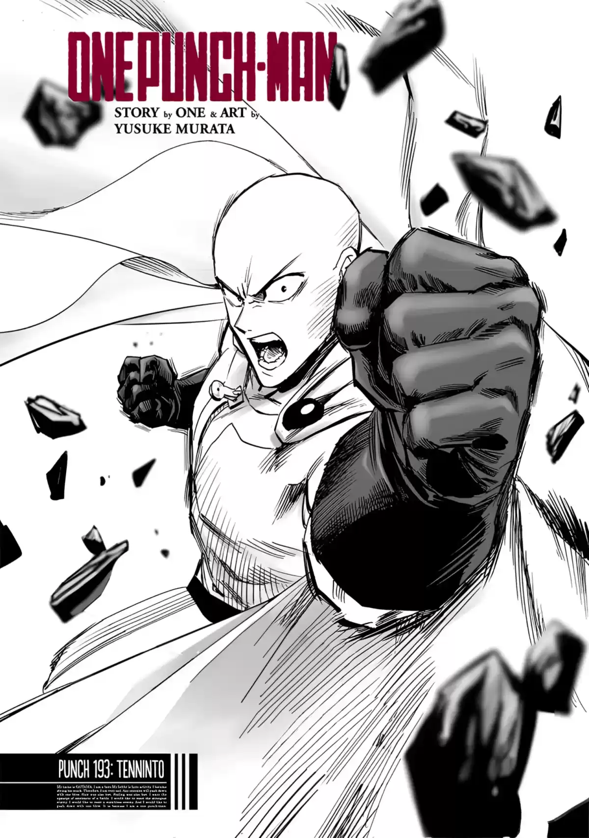 One Punch-Man Capitulo 238: Tenninto página 2