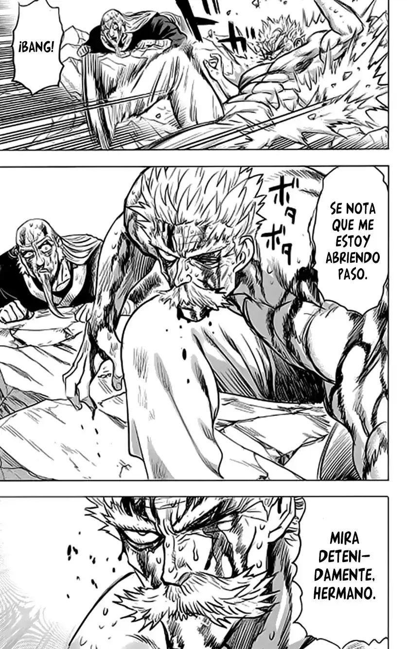 One Punch-Man Capitulo 193 página 24