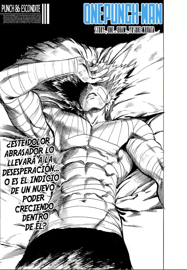 One Punch-Man Capitulo 127: Escondite página 2