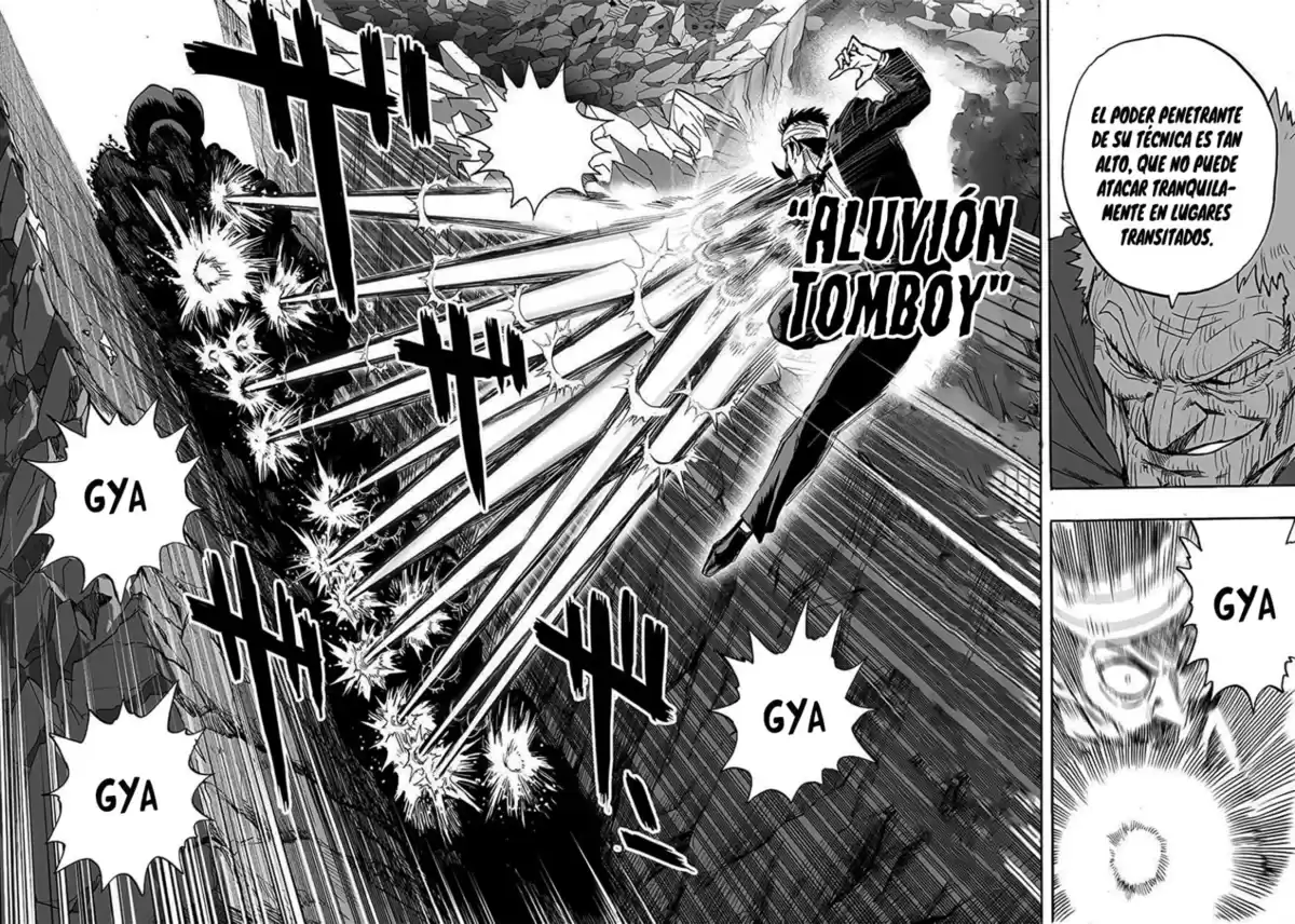 One Punch-Man Capitulo 189: Refuerzos página 17