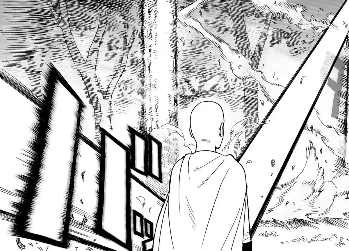 One Punch-Man Capitulo 15: Pasatiempo y Trabajo página 8