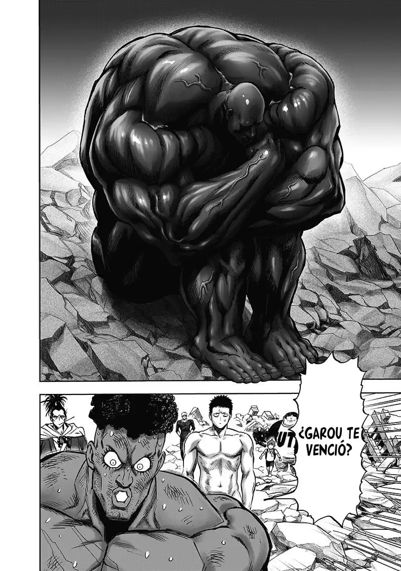 One Punch-Man Capitulo 179: Fortitud página 4