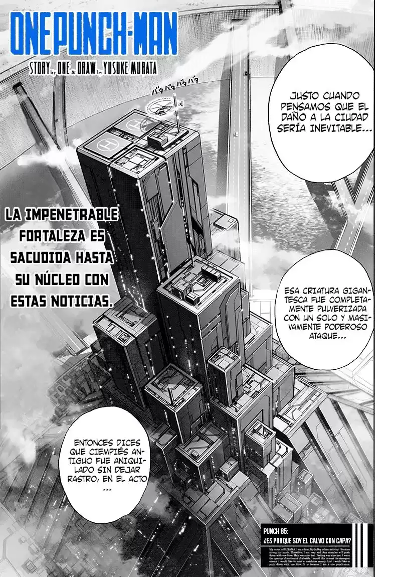 One Punch-Man Capitulo 126: ¿Es porque soy el calvo con capa? página 2