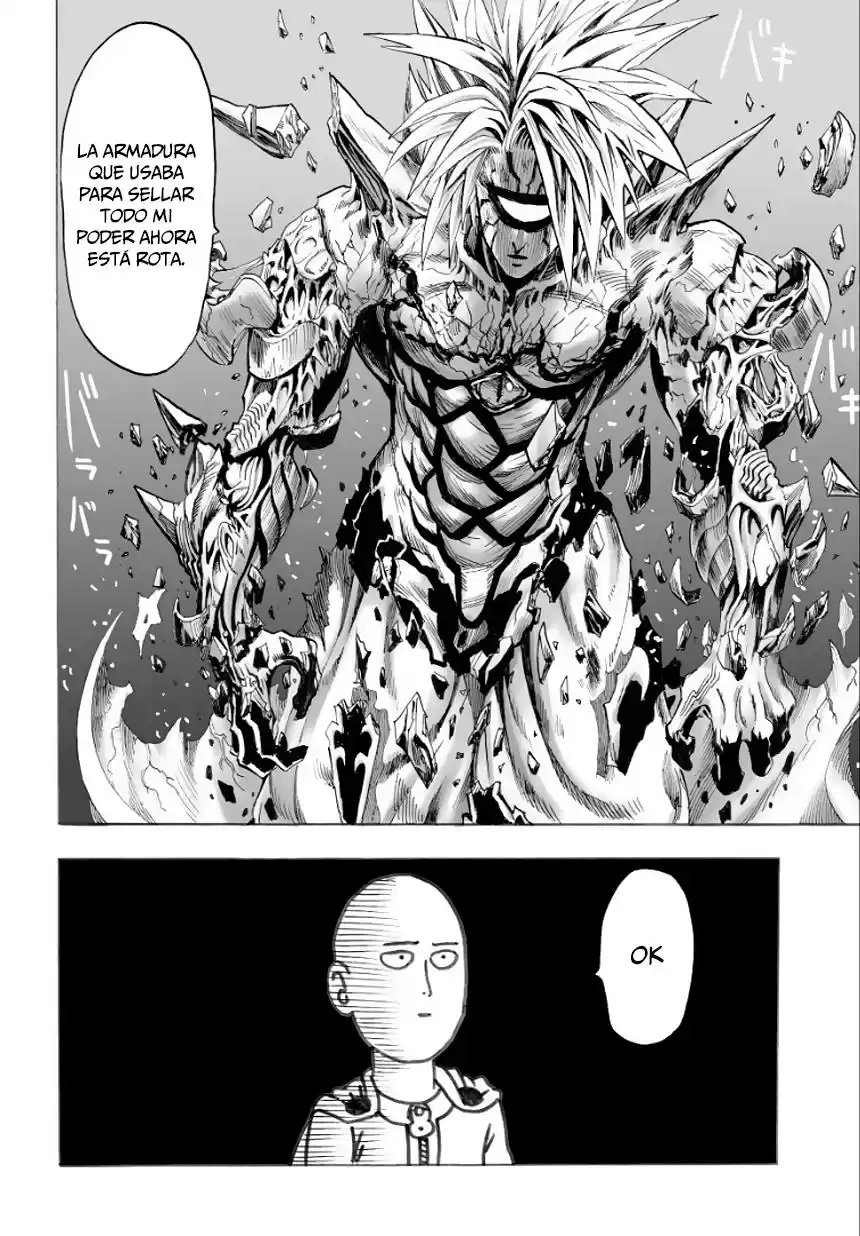 One Punch-Man Capitulo 43: ¿Eres estúpido? página 14