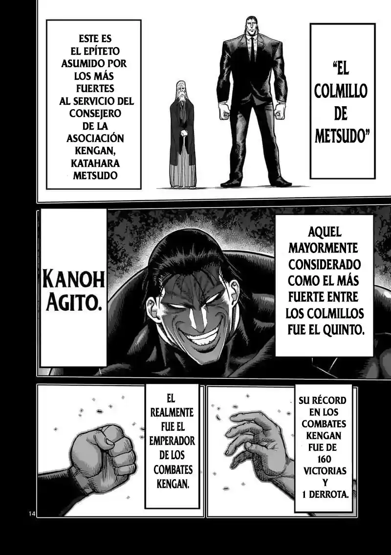 Kengan Omega Capitulo 22: Weishen página 15