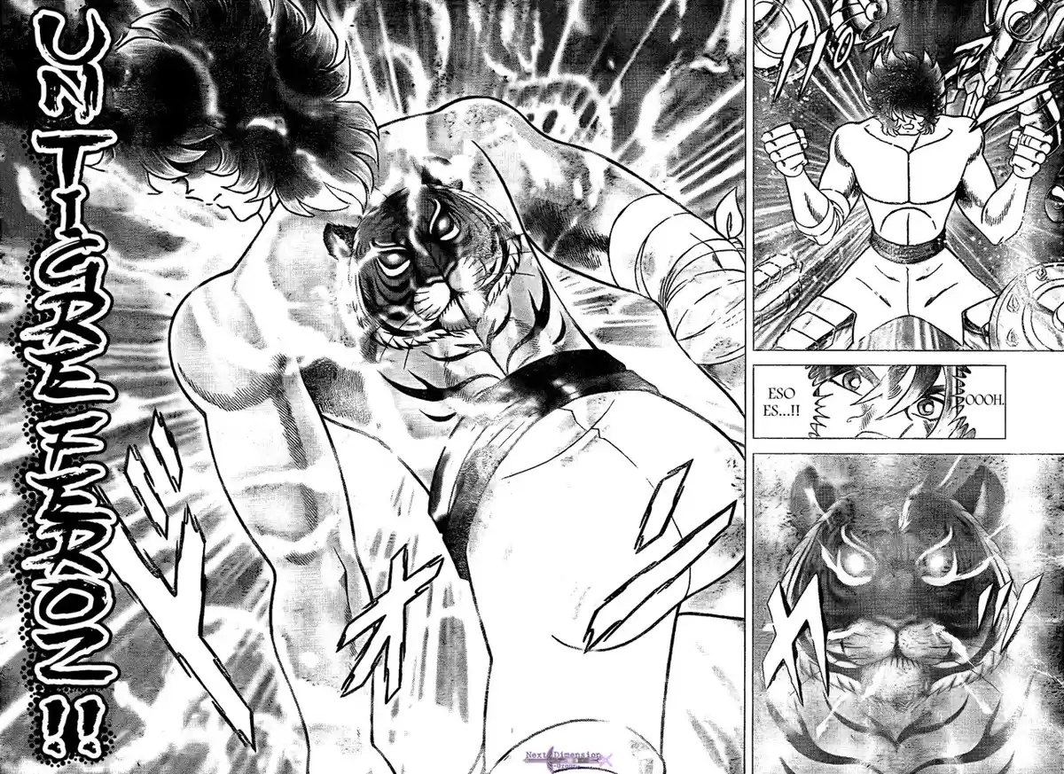 Saint Seiya: Next Dimension Capitulo 53: El Heredero página 3