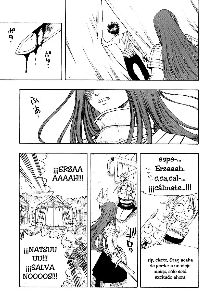 Fairy Tail Capitulo 35 página 13