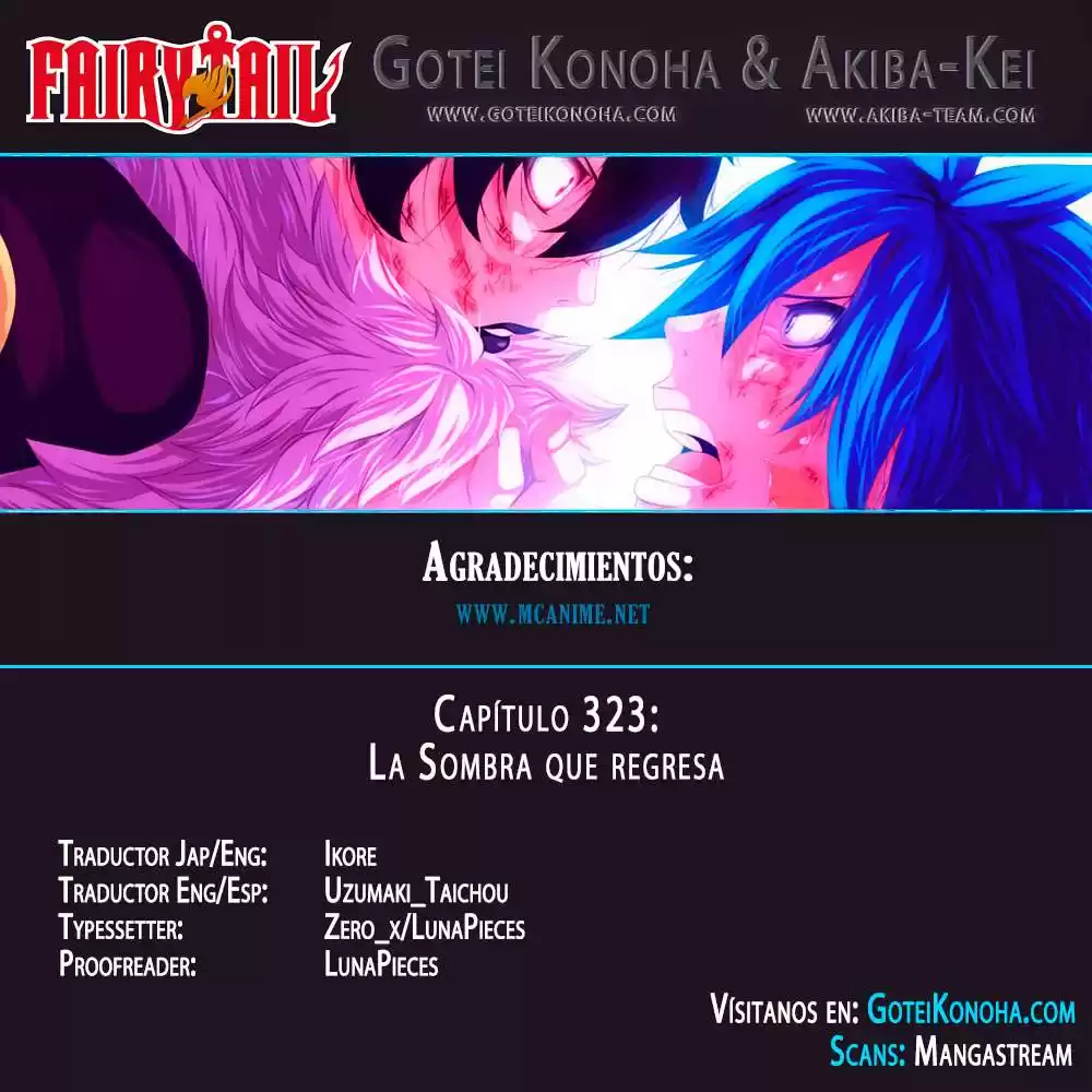 Fairy Tail Capitulo 323 página 1