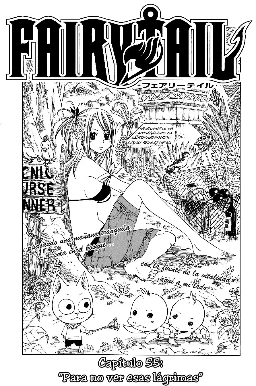 Fairy Tail Capitulo 55 página 1