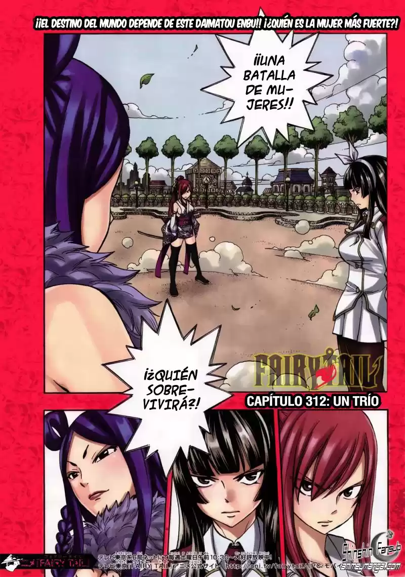 Fairy Tail Capitulo 312 página 1