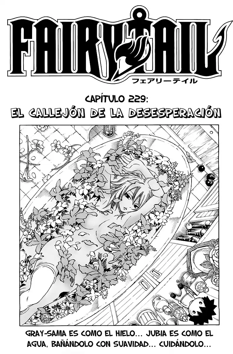 Fairy Tail Capitulo 229 página 1