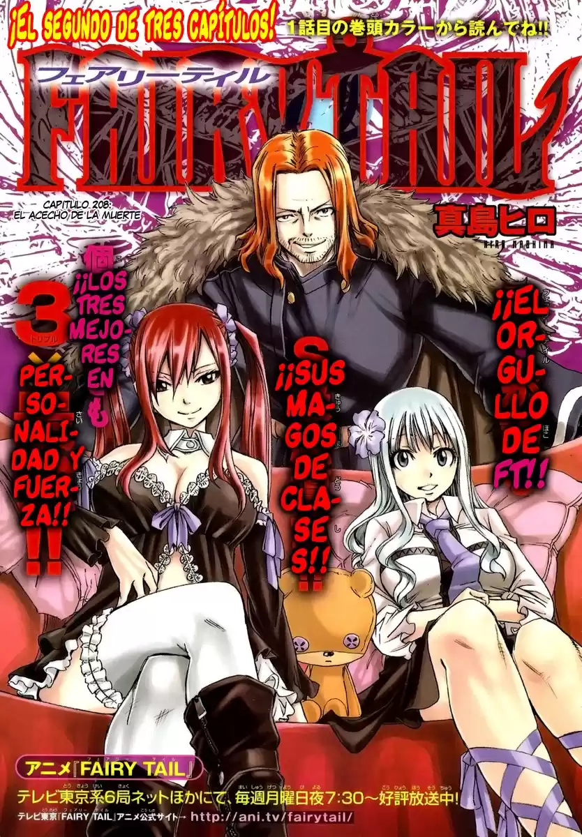 Fairy Tail Capitulo 208 página 1