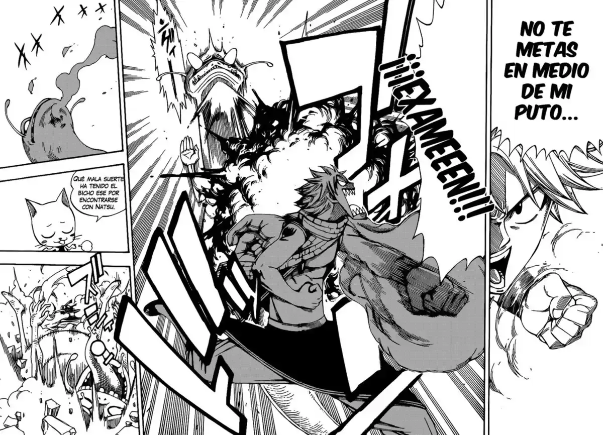 Fairy Tail Capitulo 208 página 6